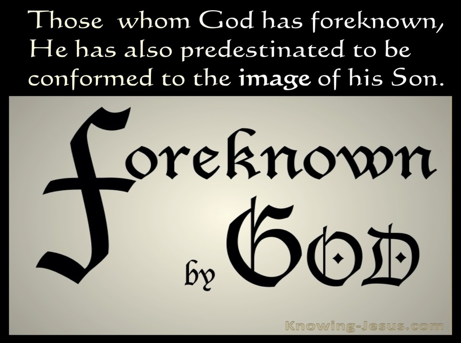 Romans 8:29 Foreknown of God  (devotional)12:01 (beige)